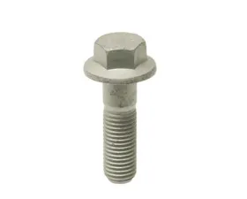 Genuine BMW Caliper Bracket Bolt 34-11-6-797-579