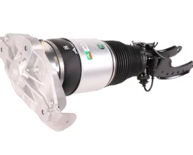Arnott Industries Air Suspension Strut AS-3164