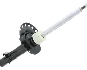 BWI Shock Absorber LR031667