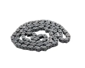 INA Automotive Timing Chain C2Z22078