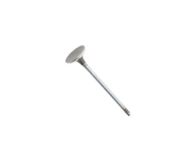 Corteco Intake Valve 82554204