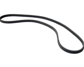 Continental Belt 6DPK X 1825 9458469