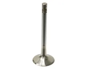 TRW Automotive Exhaust Valve 911-105-415-50