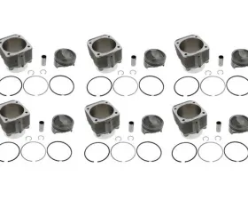 Mahle Piston and Cylinder Set PS102-022