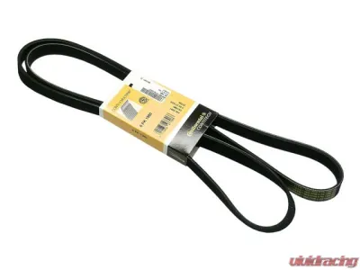 Continental Belt 6K X 1980 008-997-73-92 64 - 008-997-73-92 64