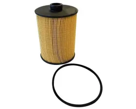 Hengst Automotive Oil Filter Kit E136HD428