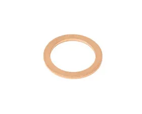 Fischer & Plath Oil Drain Plug Seal 11998