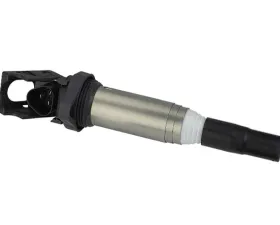 Delphi Ignition Coil 12-13-8-616-153