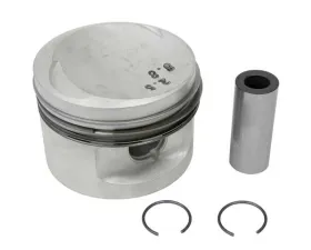 Mahle Piston 11-25-1-714-810