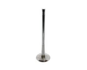 TRW Automotive Exhaust Valve 06D-109-611 L