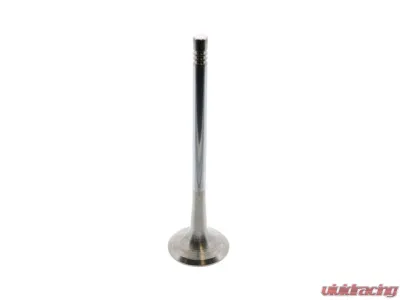 TRW Automotive Exhaust Valve 06D-109-611 L - 06D-109-611 L