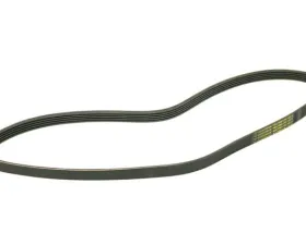 Continental Belt 5K X 1125 079-903-137 AB