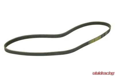 Continental Belt 5K X 1125 079-903-137 AB - 079-903-137 AB