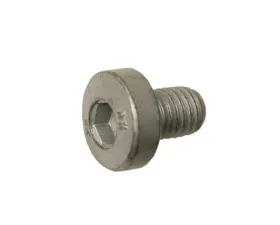 Genuine Porsche Water Pump Pulley Bolt N-905-442-03