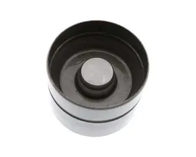 INA Automotive Hydraulic Valve Lifter 050-109-309 H