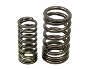 Genuine BMW Valve Spring Set 11-31-7-830-890