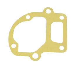 OEM Gasket 915-303-225-00