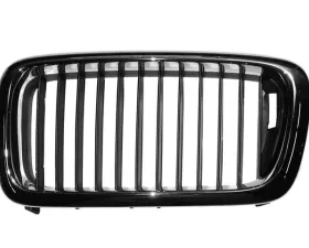 Genuine BMW Grille 51-13-8-125-811
