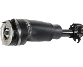 BWI Shock Absorber LR032560