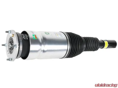Arnott Industries Strut LR087081 - LR087081