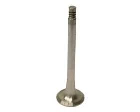 TRW Automotive Exhaust Valve 025-109-612 A