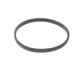 Victor Reinz Thermostat O-Ring 11-53-1-440-192