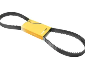 Continental Timing Belt 06D-109-119 B
