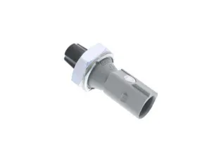 FEP Pressure Switch 038-919-081 P