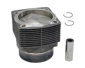 Mahle Piston and Cylinder 99 0174 916