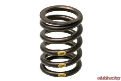 Genuine BMW Valve Spring 11-34-1-276-504 - 11-34-1-276-504