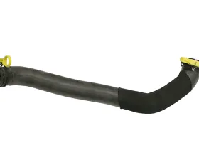 Genuine Jaguar Radiator Hose C2D6004