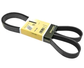 Continental Belt 7K X 1635 11-28-7-636-377