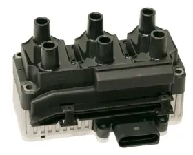 Delphi Ignition Coil 021-905-106 C