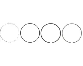 Mahle Piston Ring Set 112-030-01-24
