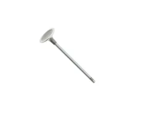 TRW Automotive Intake Valve 11-34-7-587-470