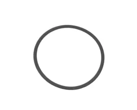 Genuine BMW O-Ring 13-54-1-307-768