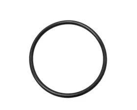 Eurospare Thermostat Seal EAC8999