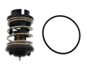 Rein Automotive Thermostat 955-106-126-01