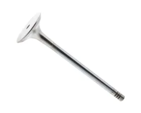 TRW Automotive Exhaust Valve LR051051