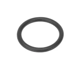 Victor Reinz O-Ring 11-42-1-709-513