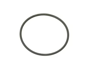 Genuine Porsche O-Ring 999-707-298-40