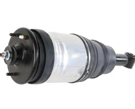 BWI Shock Absorber LR038096