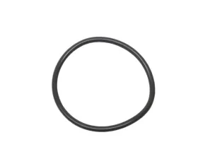 Genuine Transmission Filter Seal WHT-005-499 A