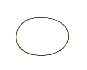 Victor Reinz Cylinder Base O-Ring 999-707-152-40