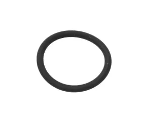 Victor Reinz O-Ring 999-707-389-40