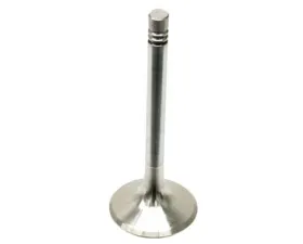TRW Automotive Exhaust Valve 930-105-419-51