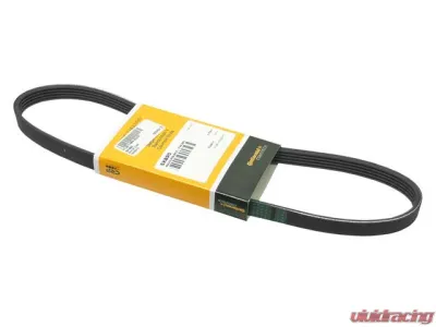 Continental Belt 5PK X 890 30777531 - 30777531