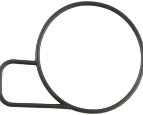 Mahle Throttle Housing O-Ring 90-490-287