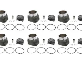 Mahle Piston and Cylinder Set PS102-023