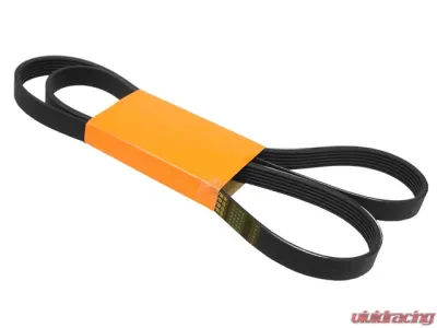 Continental Belt 6K X 1733 11-28-1-437-369 - 11-28-1-437-369